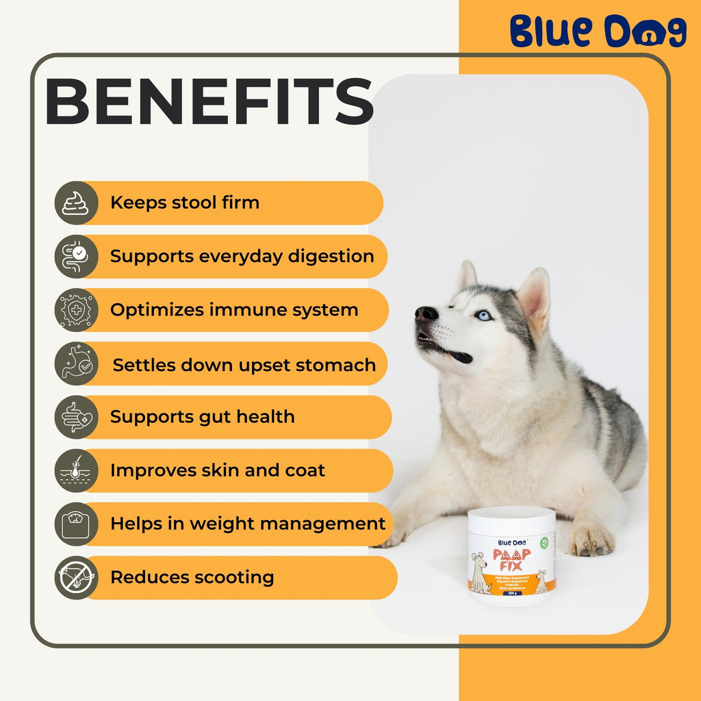 Prebiotic High Fiber Gut Health Supplement for Dogs