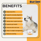 Prebiotic High Fiber Gut Health Supplement for Dogs