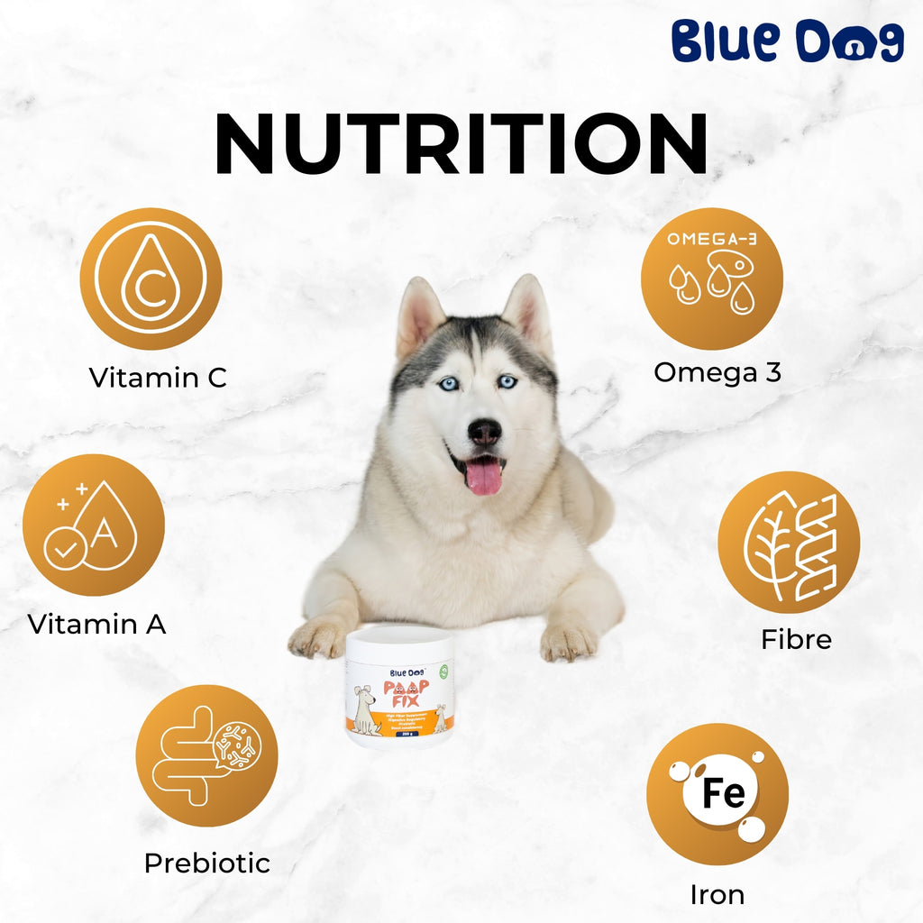 Prebiotic High Fiber Gut Health Supplement for Dogs