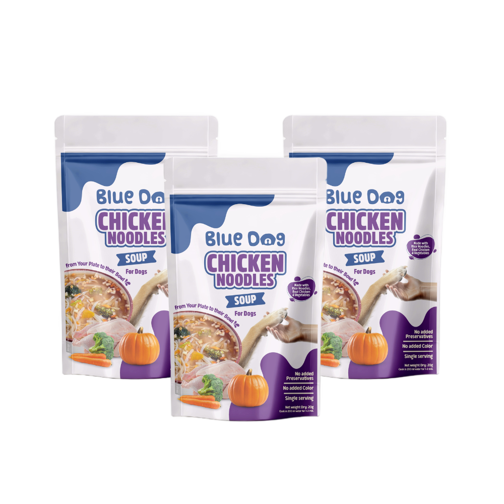 Chicken Noodles Instant Soup
