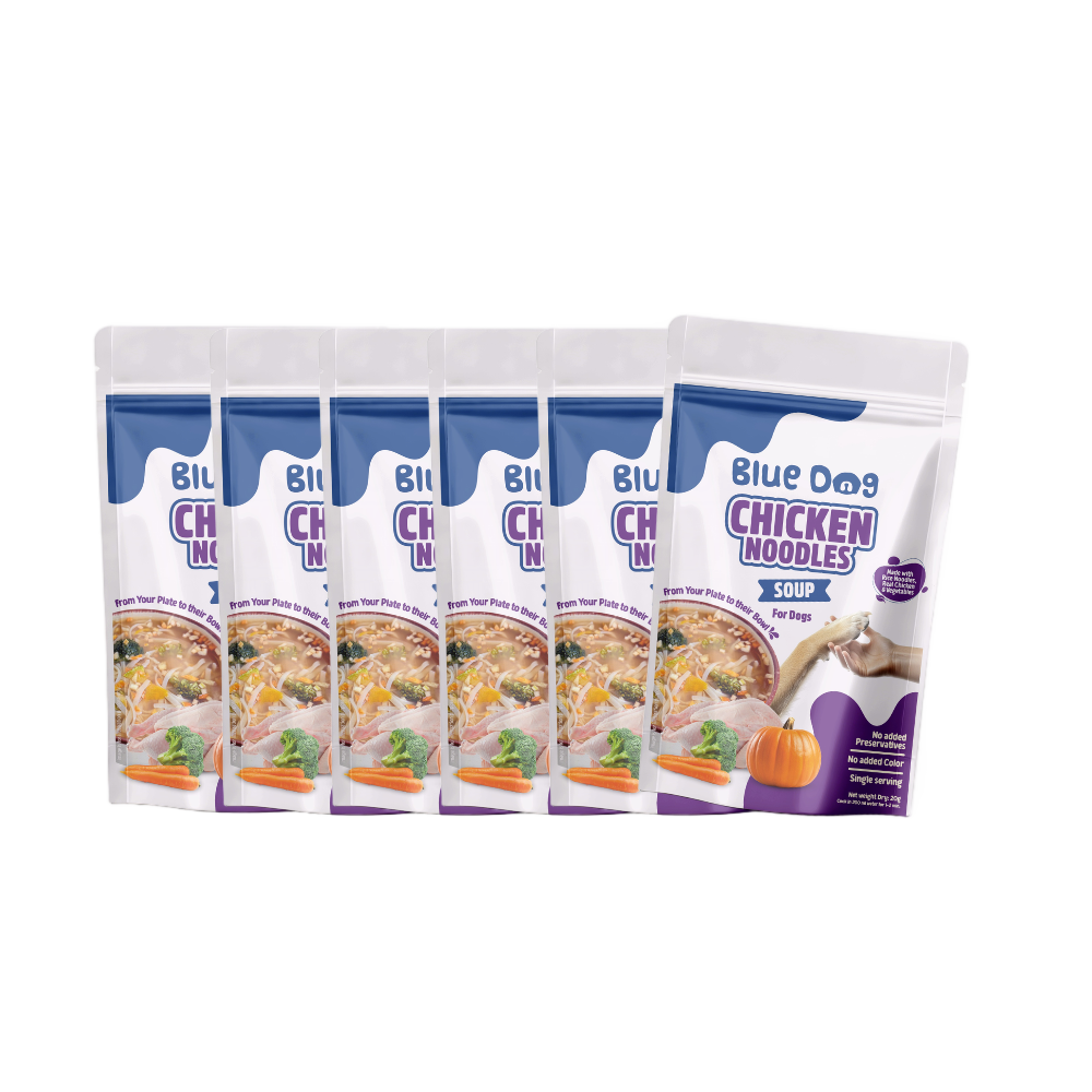Chicken Noodles Instant Soup