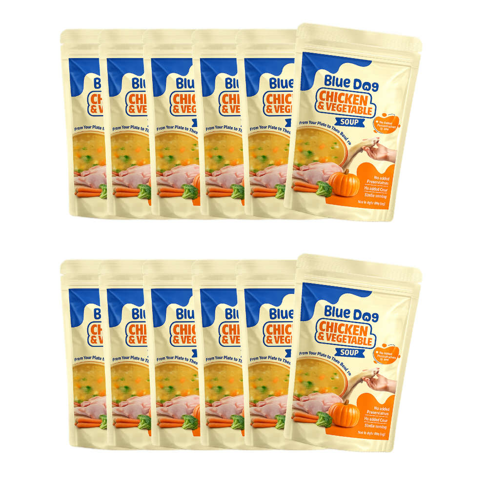 Chicken & Vegetable Instant Soup