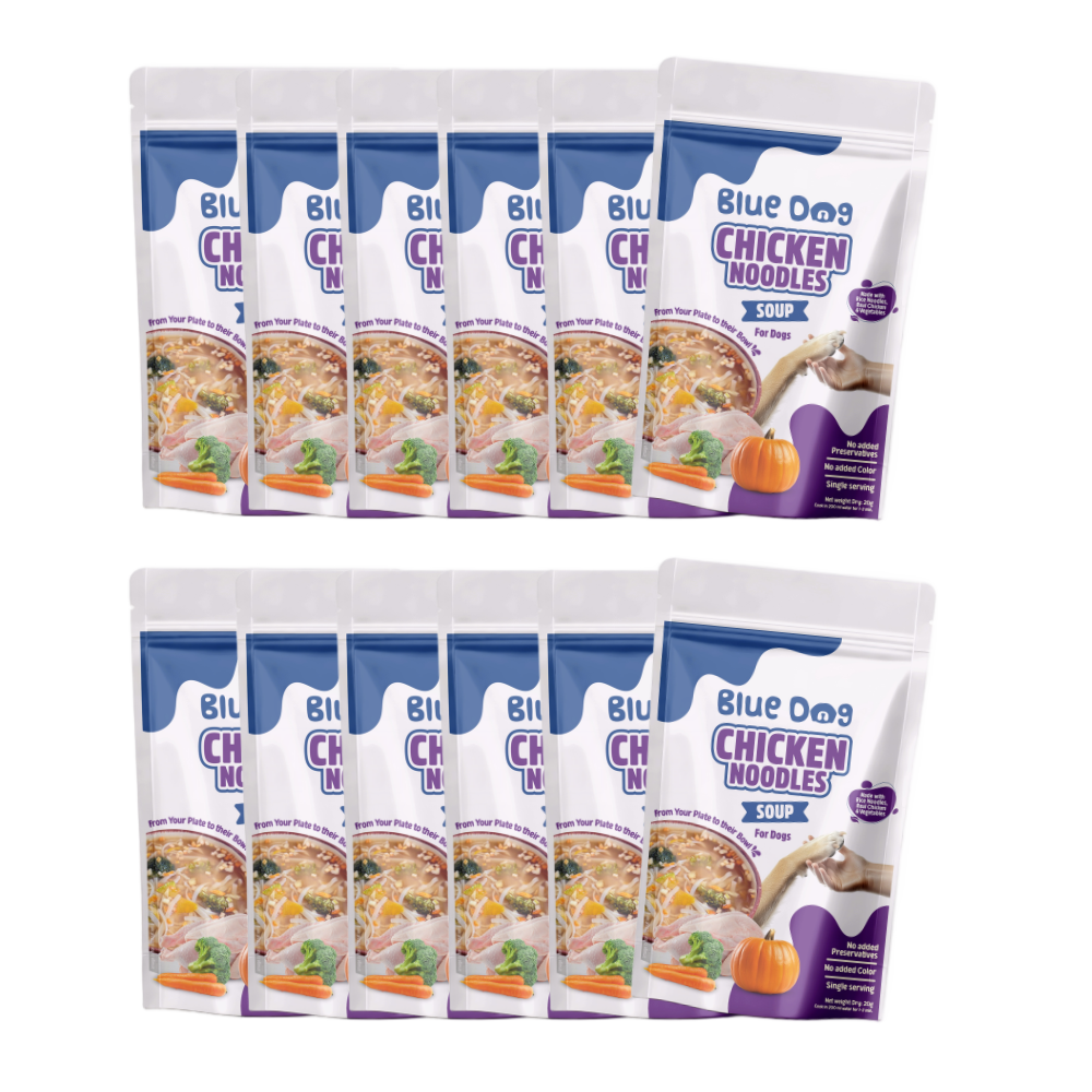 Chicken Noodles Instant Soup