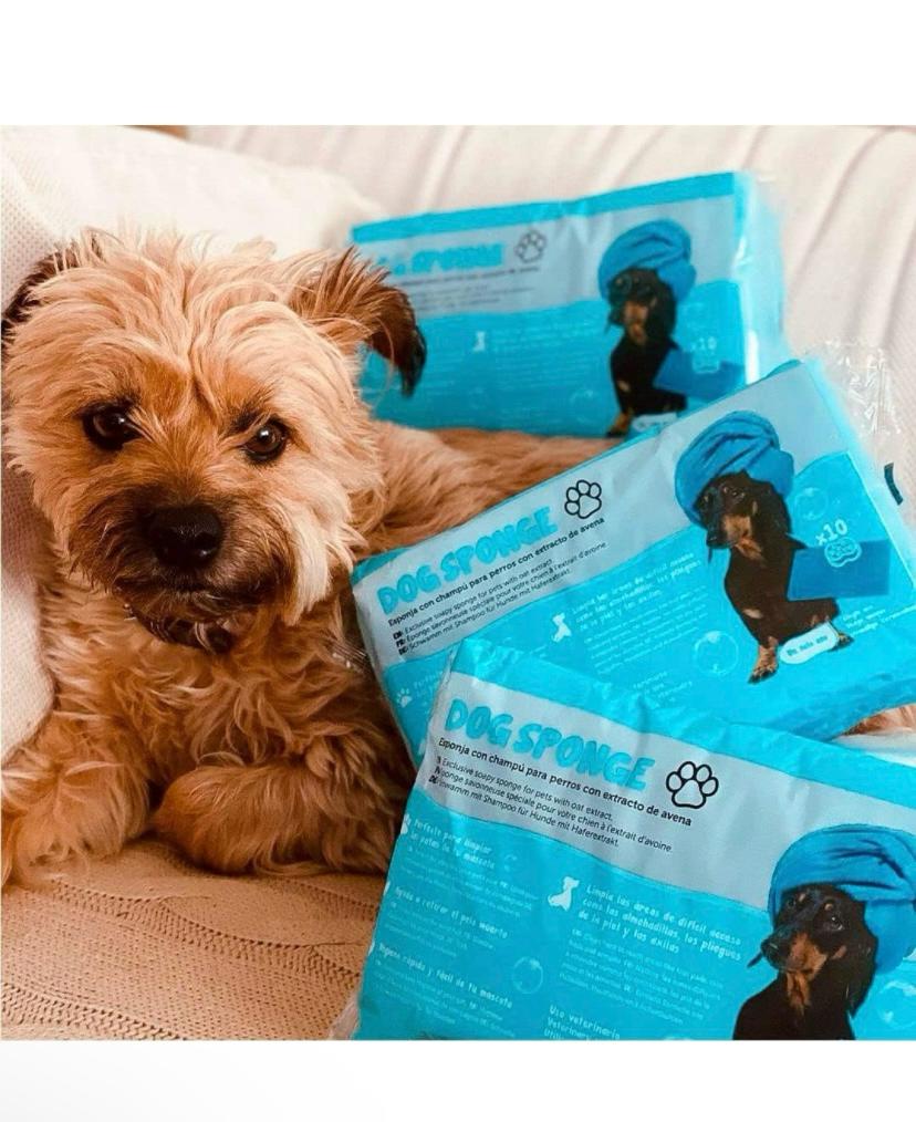 DogSponge Instant Bath & Paw Cleaning Sponge for Dogs (10 Sheets Inside)