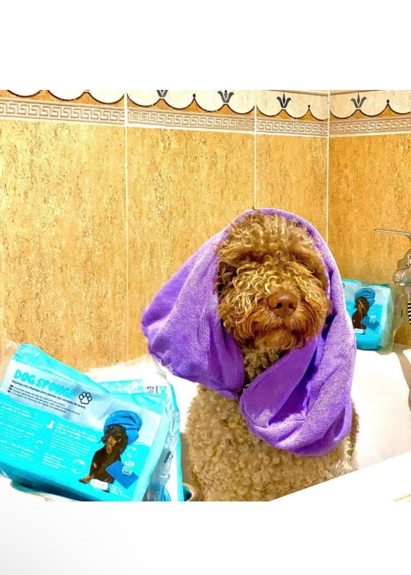 DogSponge Instant Bath & Paw Cleaning Sponge for Dogs (10 Sheets Inside)