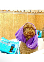 DogSponge Instant Bath & Paw Cleaning Sponge for Dogs (10 Sheets Inside)