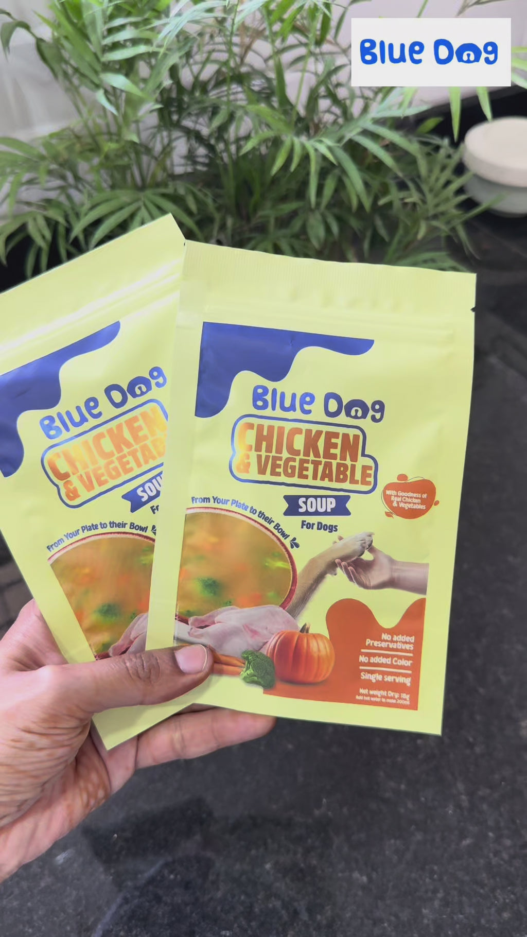 Chicken & Vegetable Instant Soup