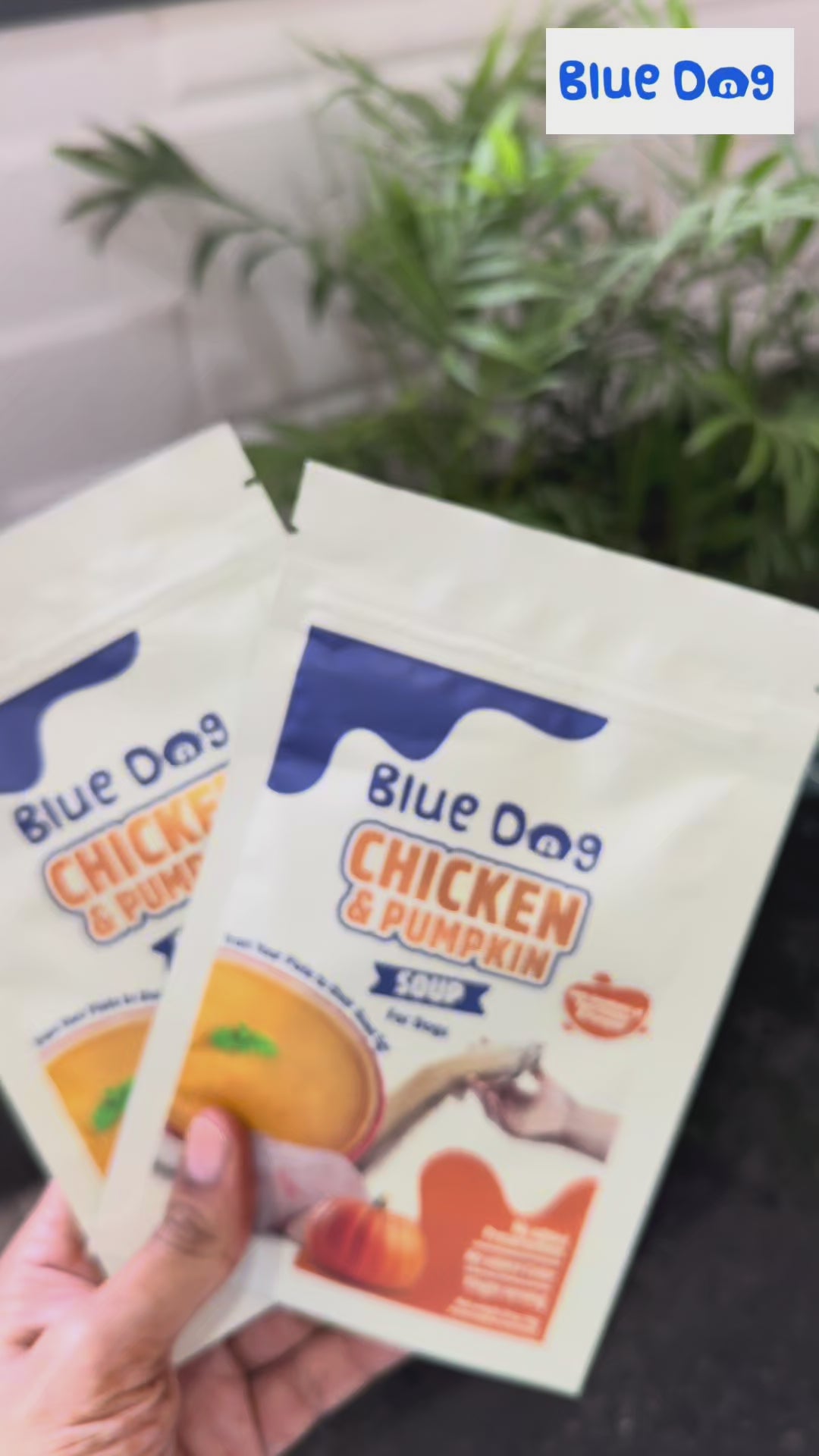 Chicken & Pumpkin Instant Soup